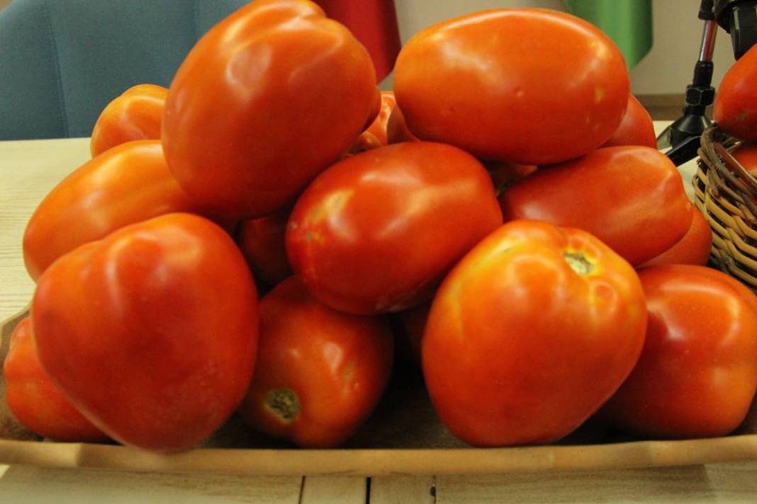 Tarlada 1,7 TL olan domatesin pazardaki fiyatı 'Pes' dedirtti! Üretici isyanda, hiç kimse kazanmıyor 1